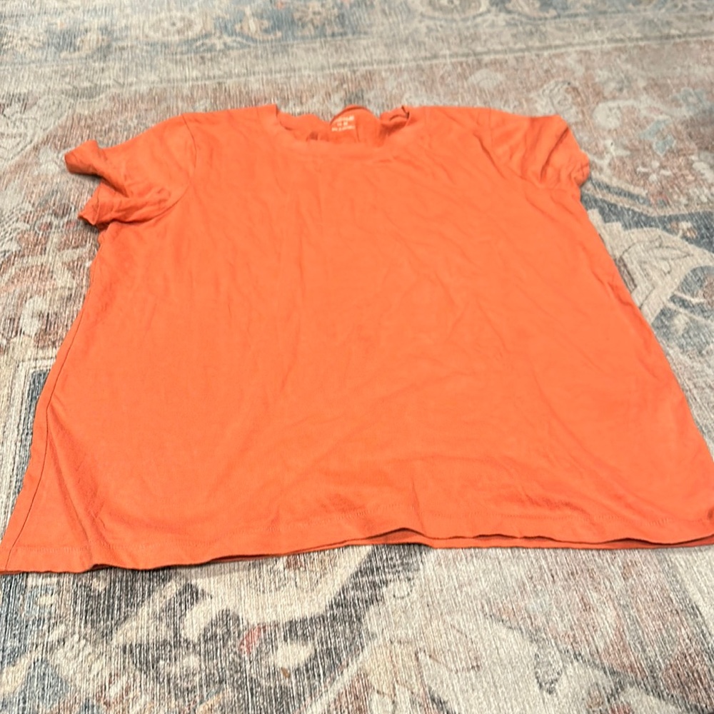 Madewell Northside Vintage tee EUC